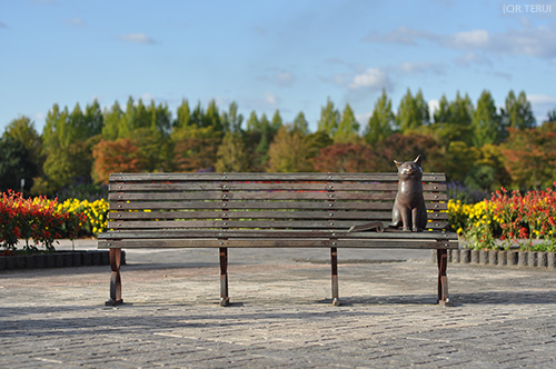 七北田公園　写真10