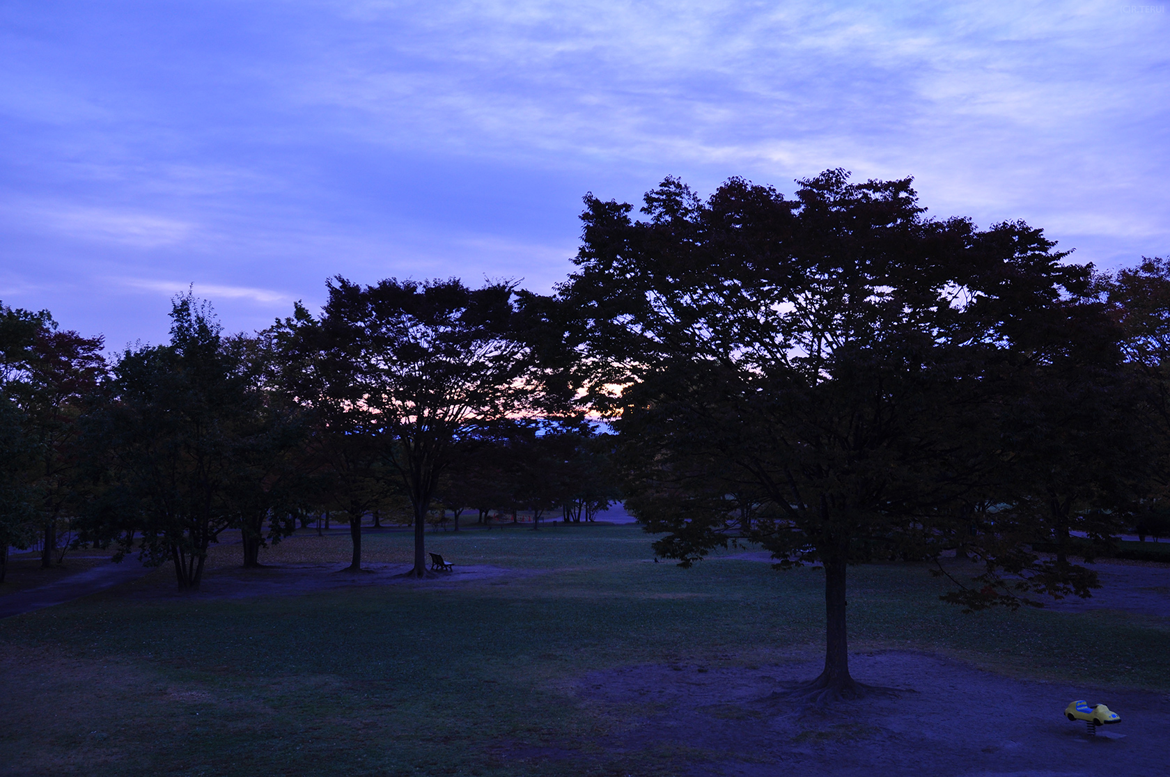 七北田公園　写真4　遊具の上から見る公園