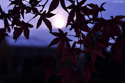 七北田公園　写真12