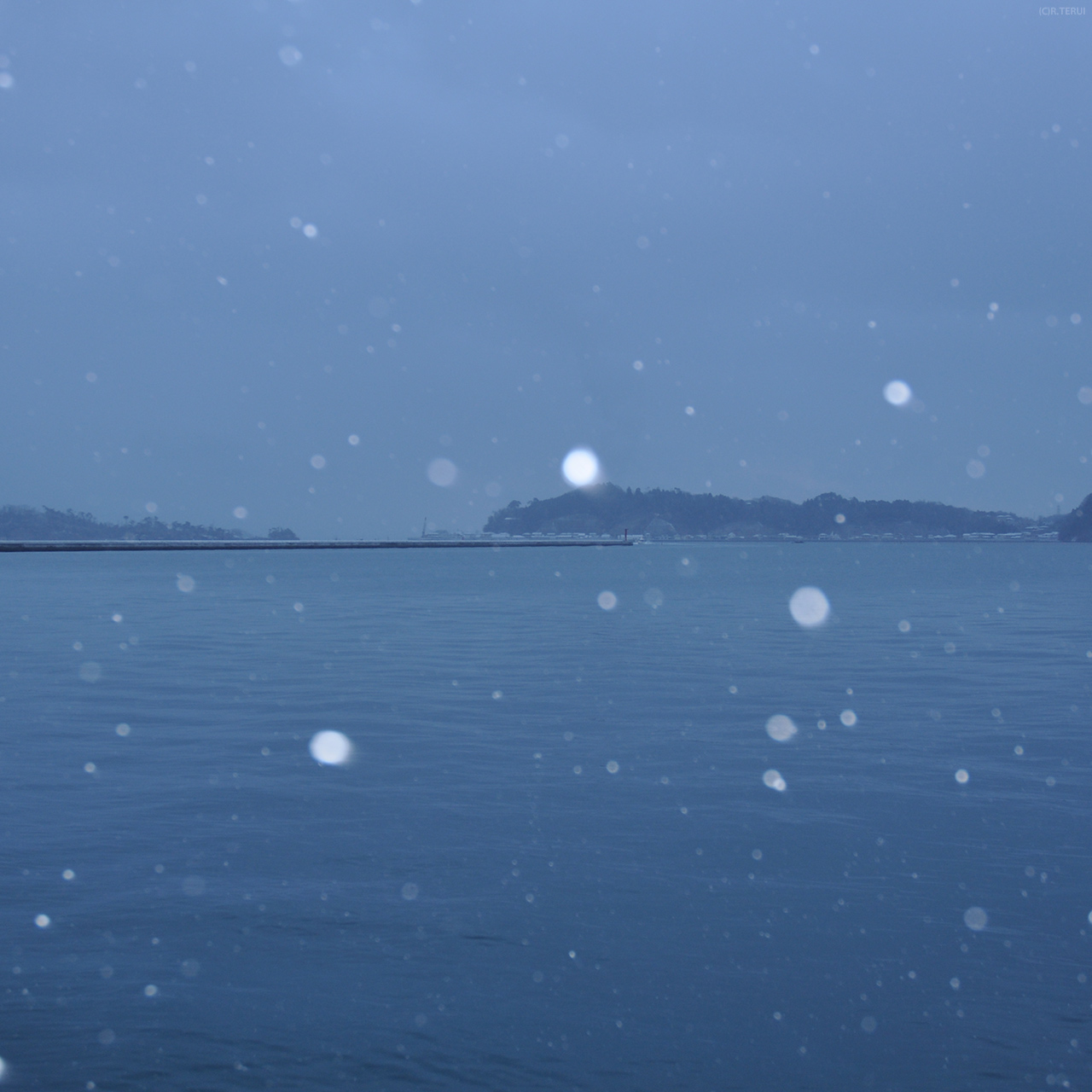 塩竈市魚市場付近から見た海