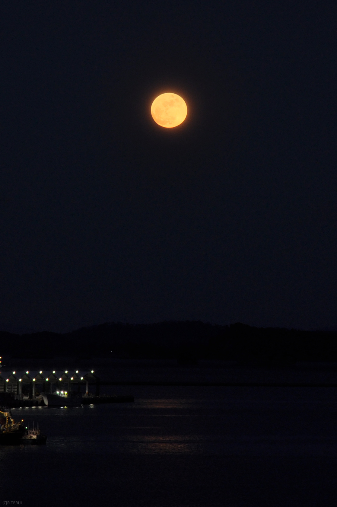 夜の海に浮く満月
