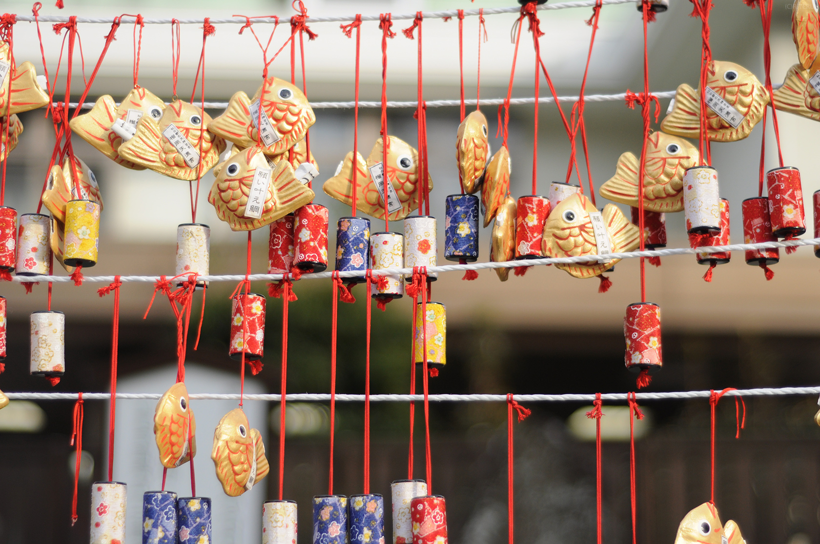 榴岡天満宮　写真9　願い叶う筒　願い叶え鯛