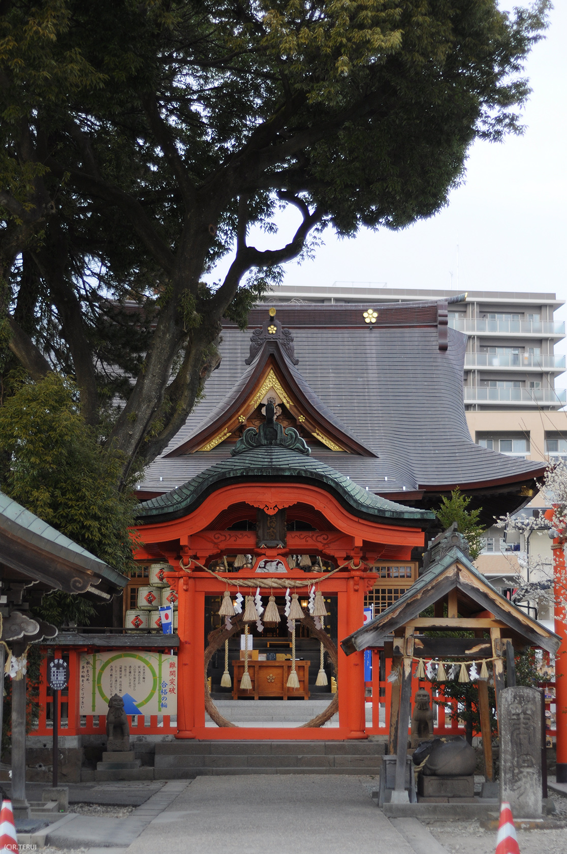 榴岡天満宮　社殿全景