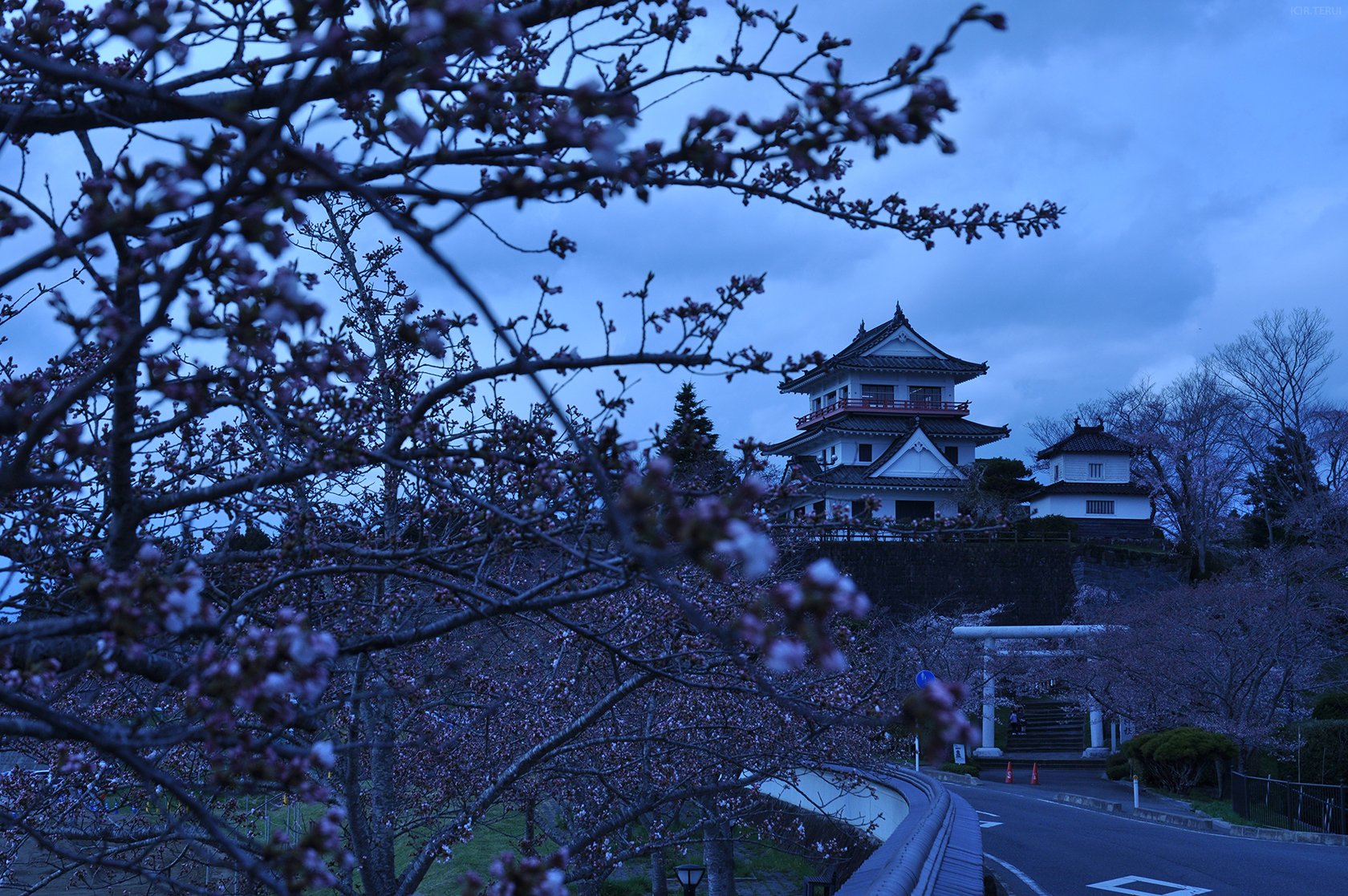 涌谷　写真1　桜並木の涌谷城