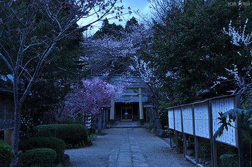 涌谷神社